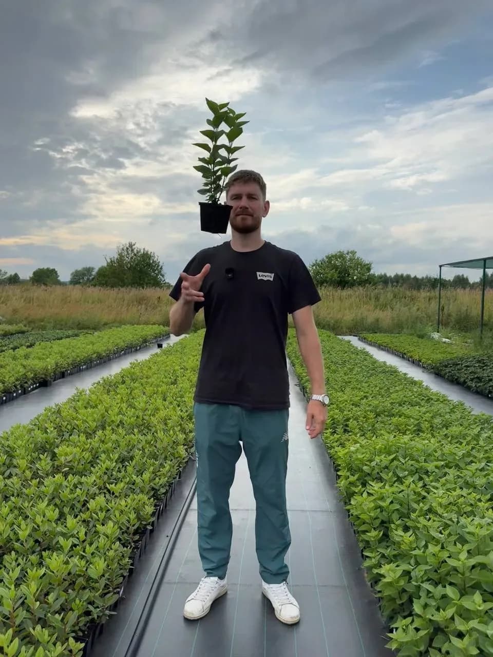 ОКС или горшок Р9: в чём разница и почему это важно для вашего бизнеса